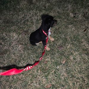 Meet your Posher, Calvin